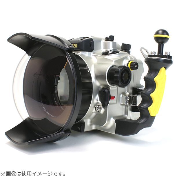 SEA&SEA シーアンドシー 30141 DXガラスドームポート170AR【公式通販】