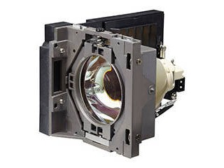 RICOH リコー RICOH PJ WU6480/X6480用交換用ランプタイプ29 513779