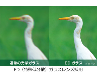 KENKO ケンコー AVT-1025EDDH Avantar 10×25 ED DH 双眼鏡 アバンター【10x25】_1