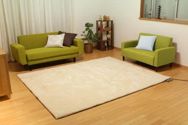 IRIS OHYAMA アイリスオーヤマ IHC-30-H ホットカーペット ベーシック