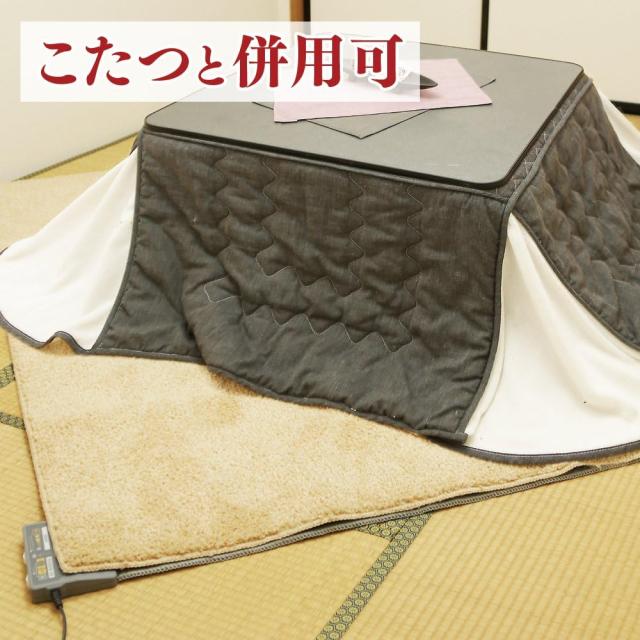 IRIS OHYAMA アイリスオーヤマ IHC-30-H ホットカーペット ベーシック