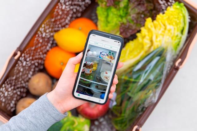 IRIS OHYAMA アイリスオーヤマ 【Aエリア限定配送】【標準配送設置