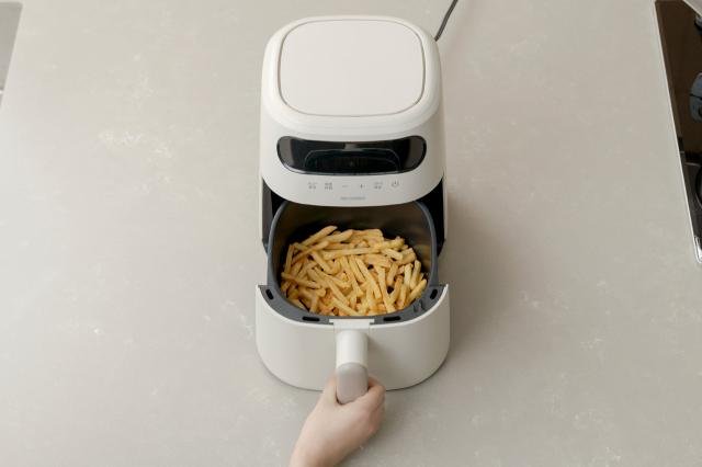 IRIS OHYAMA アイリスオーヤマ FV-M30A-C 過熱水蒸気エア フライヤー