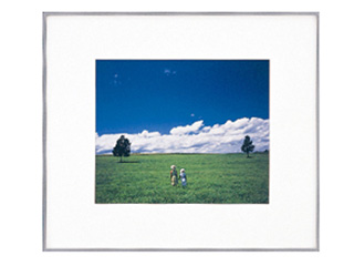 FUJICOLOR フジカラー 49263 ワイドマットフレームA5010 デジタルA3 (前面板-アクリル板)の通販は