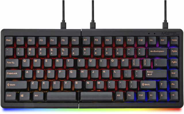 Mistel ミステル MD770 RGB エルゴノミック メカニカルキーボード 左右分離型 (英語配列/静音赤軸) ML-MD770R-U-SR/BKの通販は