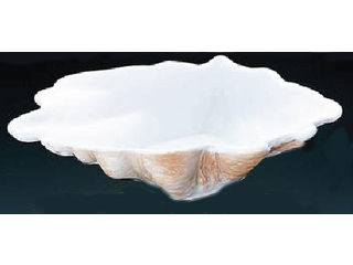 Royale ロイヤル　オーブンウェアー　シェル皿／ＰＣ１８０−３３カラーの通販は 6,787円