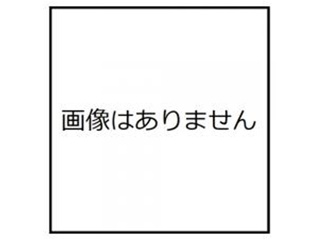 日東紅茶 水出しアイスティーストレート４０ｇ  ×24 【全国送料無料】(一部地域別途)