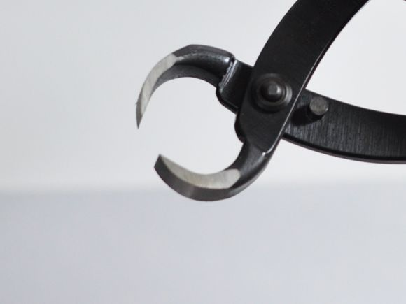 根切(小)　180mm【盆栽 ミニ盆栽 盆栽道具】