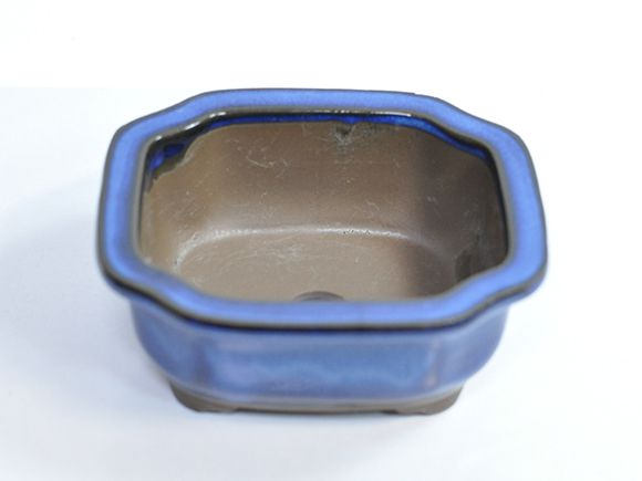 モッコ青 [盆栽鉢][4号][常滑焼] 幅13cm×高さ5cm【盆栽鉢 4号 モッコ青