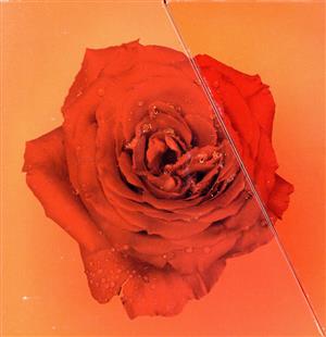 西城秀樹 エキサイティング AGE 72-79 ボックス CD-BOX 西城秀樹