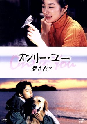 【中古】 オンリー・ユー　愛されて／鈴木京香,大沢たかお,稲森いずみ,井上晴美,河相我聞,吉川ひなの,神田うの,神山由美子（脚本）の通販は