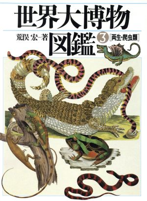 【中古】 両生・爬虫類(第３巻) 両生・爬虫類 世界大博物図鑑第３巻／荒俣宏(著者)