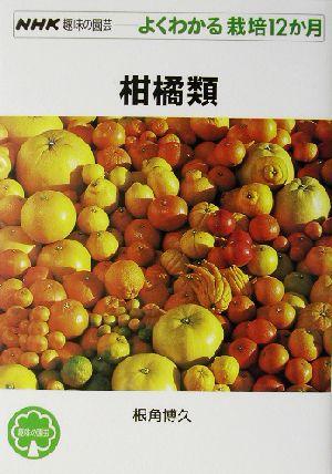 【中古】 柑橘類 ＮＨＫ趣味の園芸　よくわかる栽培１２か月／根角博久(著者)