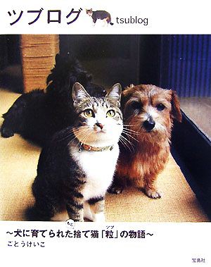 ツブログ 犬に育てられたもと捨て猫「粒」の物語／ごとうけいこ