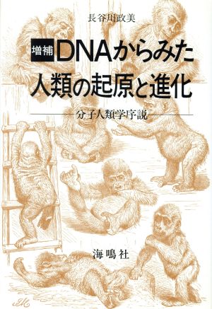 【中古】 ＤＮＡからみた人類の起源と進化 分子人類学序説／長谷川政美(著者)
