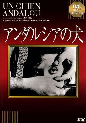 青春の象徴 恋のすべて LAST LIVE at SHIBUYA CLUB QUATTRO [DVD] The SALOVERS / 青春の象徴 恋のすべて LAST LIVE at SHIBUYA CLUB