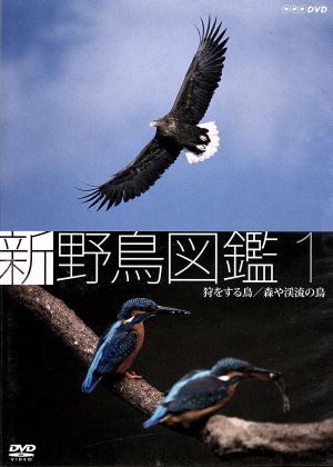 新 野鳥図鑑 第１集 狩をする鳥／森や渓流の鳥／（趣味／教養）