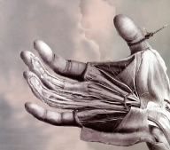 【中古】 コントロール・オルト・デリート／フリー・ザ・ロボッツ