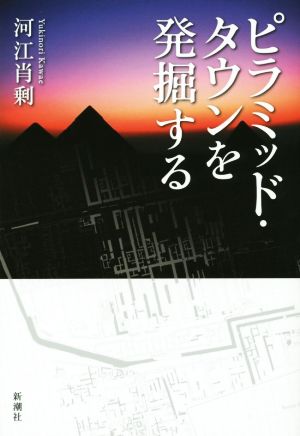 【中古】 ピラミッド・タウンを発掘する／河江肖剰(著者)