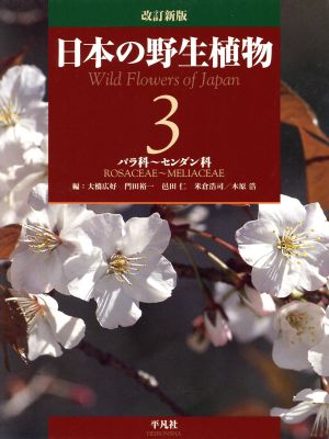 中古】 このライトノベルがすごい！ 2006 / 『このミステリーが