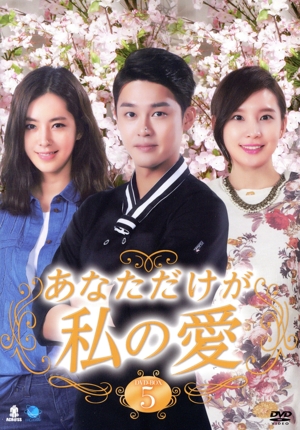 【中古】 あなただけが私の愛　ＤＶＤ−ＢＯＸ５／ハン・チェア,ソン・ヒョク,チ・ジュヨン