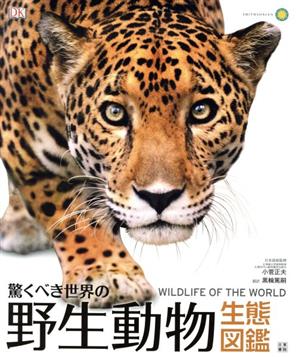 【中古】 驚くべき世界の野生動物生態図鑑 ＷＩＬＤＬＩＦＥ　ＯＦ　ＴＨＥ　ＷＯＲＬＤ／黒輪篤嗣(訳者),小菅正夫の通販は