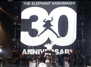 【中古】 ３０ｔｈ　ＡＮＮＩＶＥＲＳＡＲＹ　ＴＯＵＲ“ＴＨＥ　ＦＩＧＨＴＩＮＧ　ＭＡＮ”ＦＩＮＡＬさいたまスーパーアリーナ（初回限定版）／エレファントカシマシ