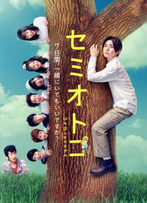 【中古】 セミオトコ　ＤＶＤ−ＢＯＸ／山田涼介,木南晴夏,今田美桜,ａｇｅｈａｓｐｒｉｎｇｓ（音楽）