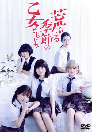 ▽DVD/国内TVドラマ/やまとなでしこ DVD-BOX