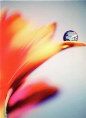 【中古】 ＦＡＬＬＩＮＧ（会場限定盤）（２ＣＤ）／ＳＡＤＳの通販は 5,452円