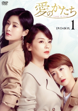 【中古】 愛のかたち〜Ｌｏｖｅ　ｉｓ　ｔｒｕｅ〜　ＤＶＤ−ＢＯＸ１／リウ・タオ,ドゥ・チュン,ワン・ユエンカー,リー・ニエン