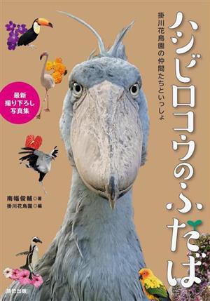 ハシビロコウのふたば 掛川花鳥園の仲間たちといっしょ／南幅俊輔 ...