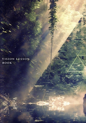 【中古】 ＶＩＳＩＯＮ　ＬＥＳＳＯＮ　ヴィジョンレッスン 未来のあなたに会いに行く ＣＤ＆ＢＯＯＫ／八ヶ岳の魔女メイ(著者)