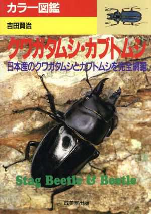 中古 クワガタムシ カブトムシ １９９６ 日本産のクワガタムシとカブトムシを完全網羅 カラー図鑑シリーズ 吉田賢治 著者 の通販はau Pay マーケット ブックオフオンライン Au Payマーケット店