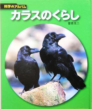 中古 カラスのくらし 科学のアルバム 菅原光二 著者 の通販はau Pay マーケット ブックオフオンライン Au Payマーケット店