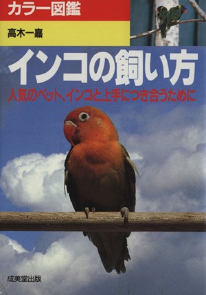 中古 インコの飼い方 人気のペット インコと上手につき合うために カラー図鑑 高木一嘉 その他 の通販はau Pay マーケット ブックオフオンライン Au Payマーケット店