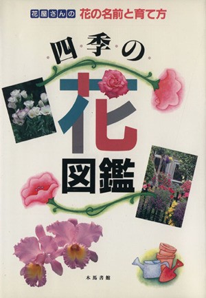 中古 四季の花図鑑 花屋さんの花の名前と育て方 菅国典 著者 の通販はau Pay マーケット ブックオフオンライン Au Payマーケット店