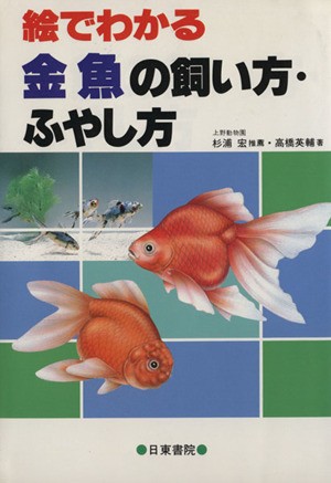 中古 絵でわかる 金魚の飼い方 ふやし方 高橋英輔 著者 の通販はau Pay マーケット ブックオフオンライン Au Payマーケット店