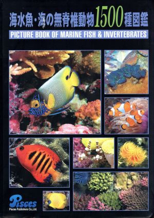 中古 海水魚 海の無脊椎動物１５００種図鑑 サイエンス その他 の通販はau Pay マーケット ブックオフオンライン Au Payマーケット店