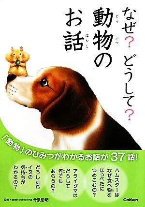 中古 なぜ どうして 動物のお話 動物 のひみつがわかるお話が３７話 今泉忠明 監修 の通販はau Pay マーケット ブックオフオンライン Au Payマーケット店