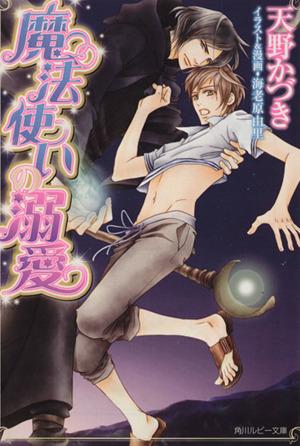 中古 魔法使いの溺愛 角川ルビー文庫 天野かづき 著者 の通販はau Pay マーケット ブックオフオンライン Au Payマーケット店