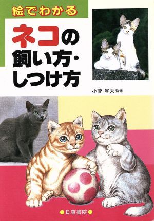 中古 絵でわかるネコの飼い方 しつけ方 小菅和夫 その他 の通販はau Pay マーケット ブックオフオンライン Au Payマーケット店