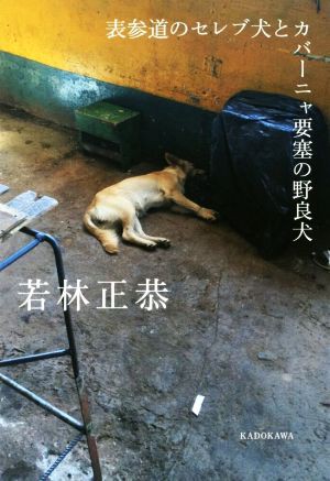 中古 表参道のセレブ犬とカバーニャ要塞の野良犬 若林正恭 著者 の通販はau Pay マーケット ブックオフオンライン Au Payマーケット店