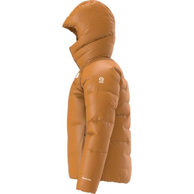 取寄) ノースフェイス レディース サミット プモリ ダウン