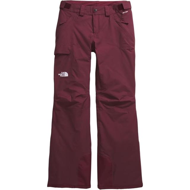 (取寄) ノースフェイス プラス フリーダム スキー パンツ - ウォータープルーフ, インサレーテッド The North Face Plus Freedom Ski Pants - Waterproof, Insulated Alpine Plum