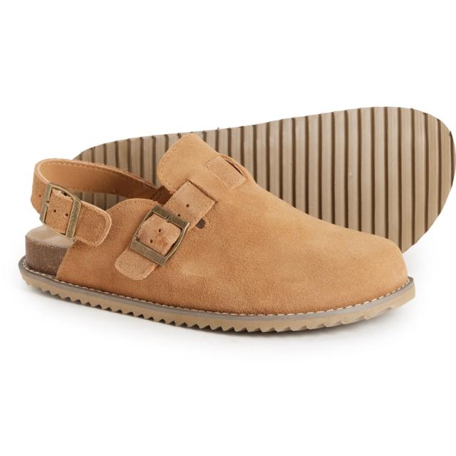 (取寄) クッションネア レディース ブルックリン バックル クロッグス Cushionaire women Brooklyn Buckle Clogs (For Women)  Chestnut