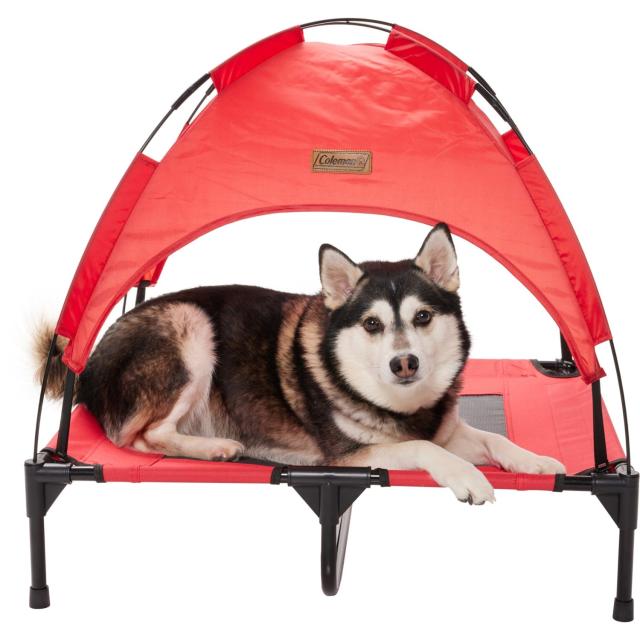 (取寄) コールマン ラージ フォールディング ペット コット ウィズ キャノピー - Coleman Large Folding Pet Cot with Canopy - 30x24x7の通販は