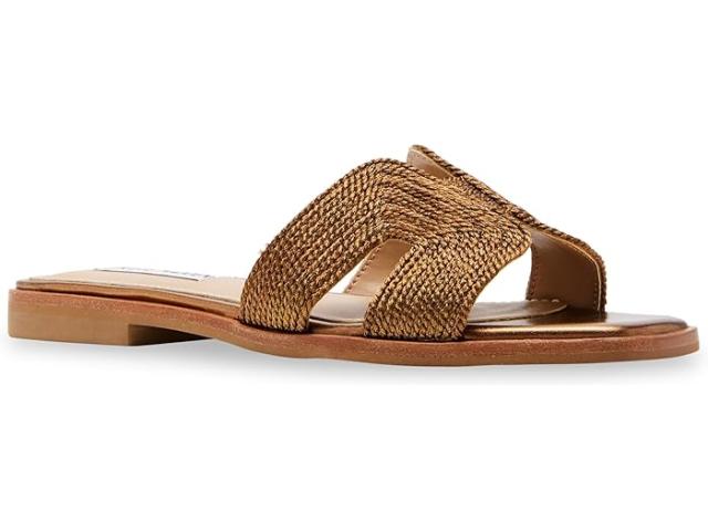 (取寄) スティーブマデン レディース ハディン-B Steve Madden women Steve Madden Hadyn-B Bronze