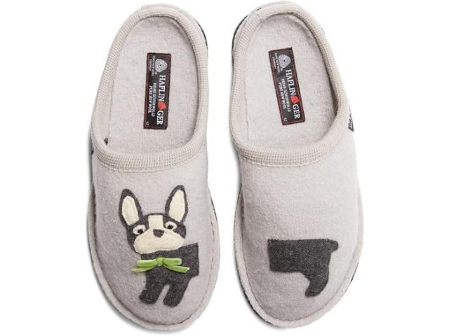 (取寄) ハフリンガー パピー Haflinger Haflinger Puppy Light Grey