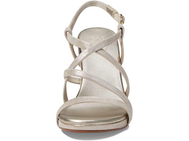 コブ ヒル レディース スニーカー シューズ Lucy コブ ヒル レディース スニーカー シューズ Lucy